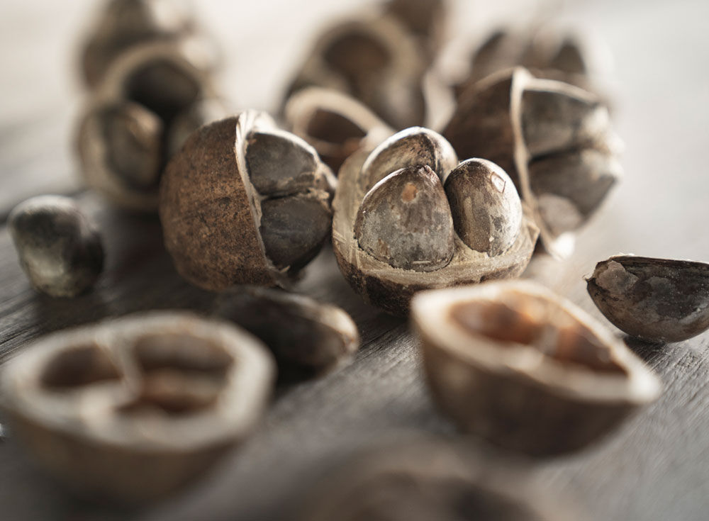 Imagen mano con producto Sescacay aceite biointensivo